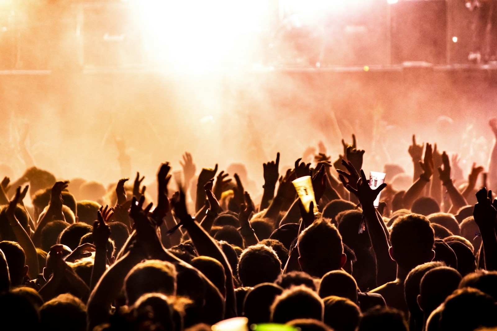 Illustrative live music audience
